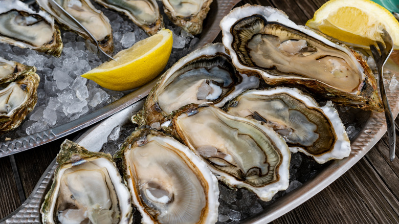 Close-up of oysters on platter